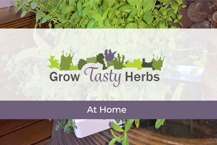 home herbs