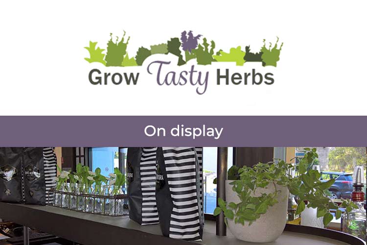 on display herbs