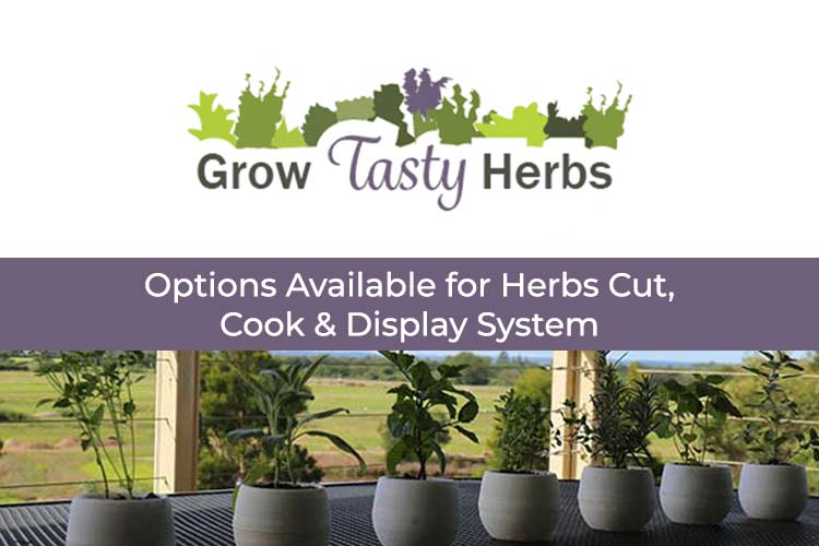 display herbs